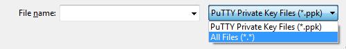 file-name file-name