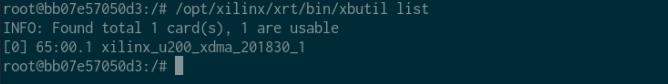 Fig 5: Interactive shell inside the Docker container Fig 5: Interactive shell inside the Docker container