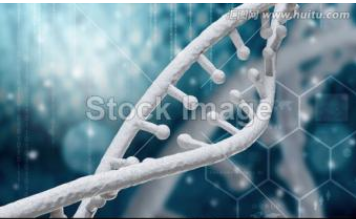 DNA场效应管传感器制备方法解析