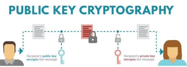 如何使用生成的公钥加密数据和私钥解密数据